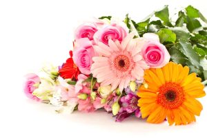 開店祝いや開業祝いにおすすめの花の種類とおしゃれな花束を紹介