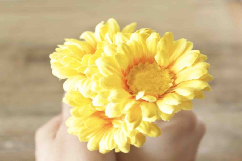 お見舞いの花のマナーと選び方｜おすすめのお花6選