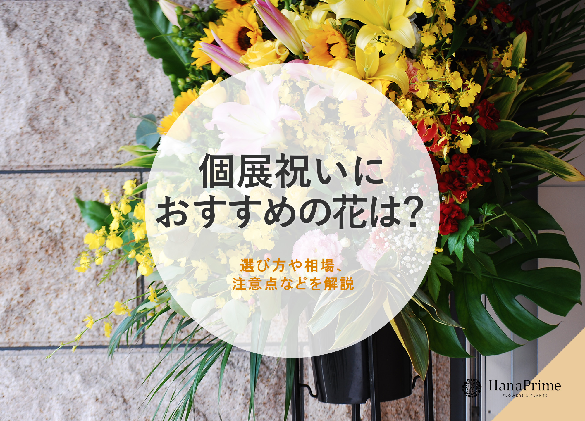 個展祝いにおすすめの花は？選び方や相場、注意点などを解説