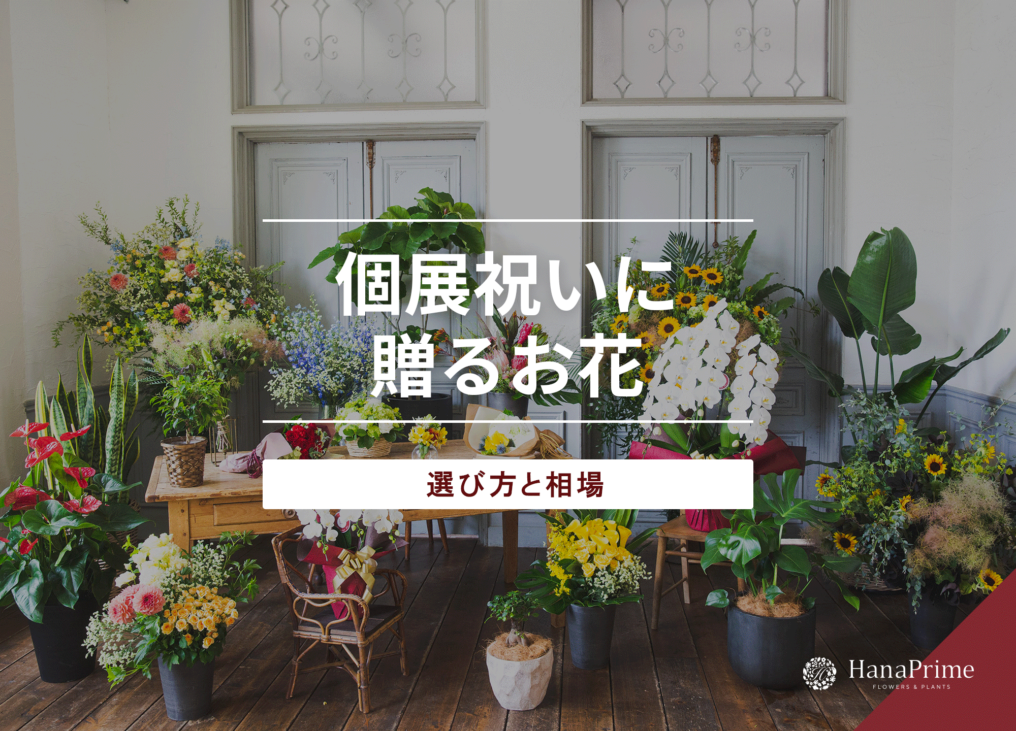 個展祝いにおすすめの花は？選び方や相場、注意点などを解説