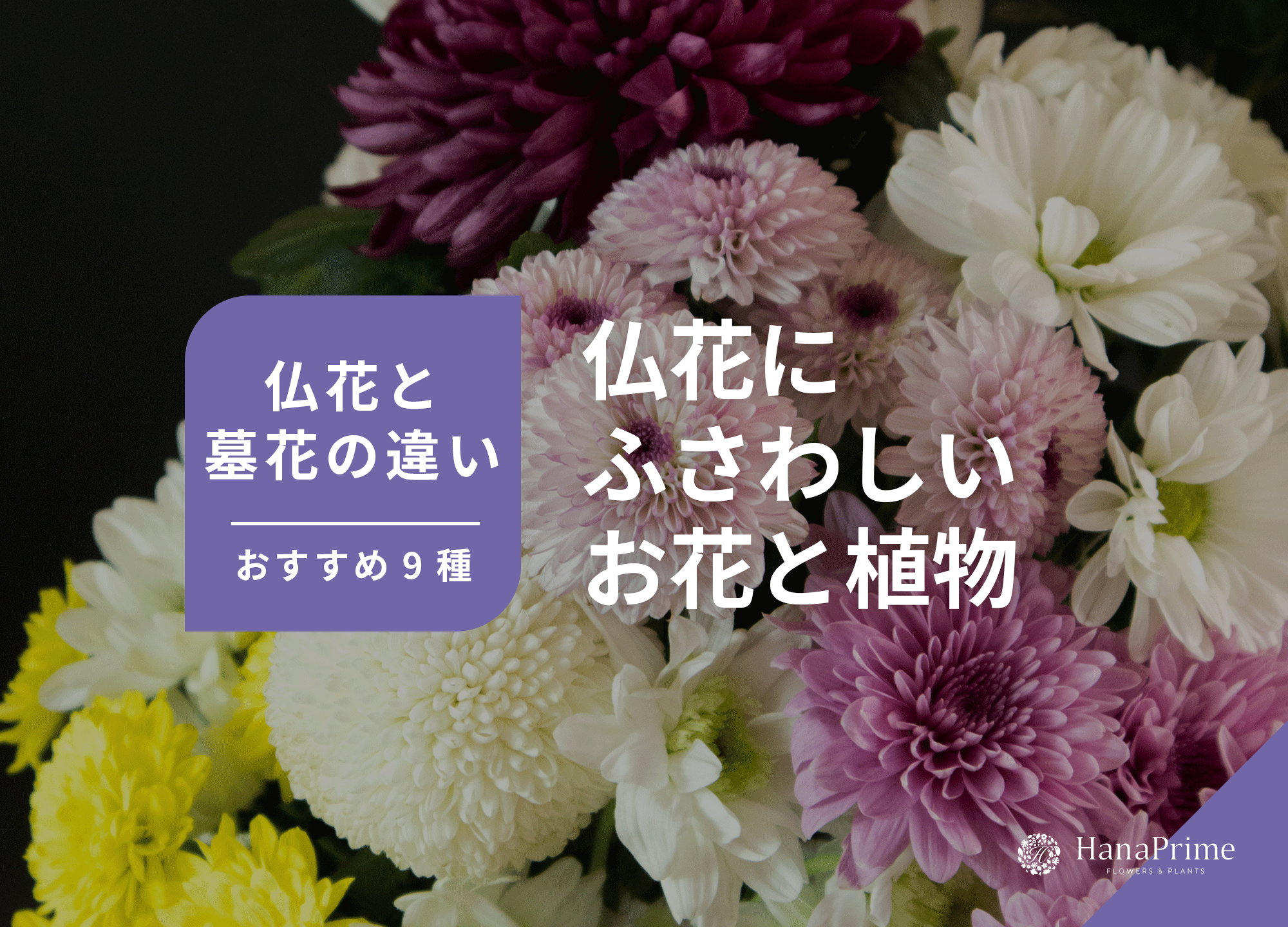 仏花（ぶっか）にふさわしいお花・植物は9種類