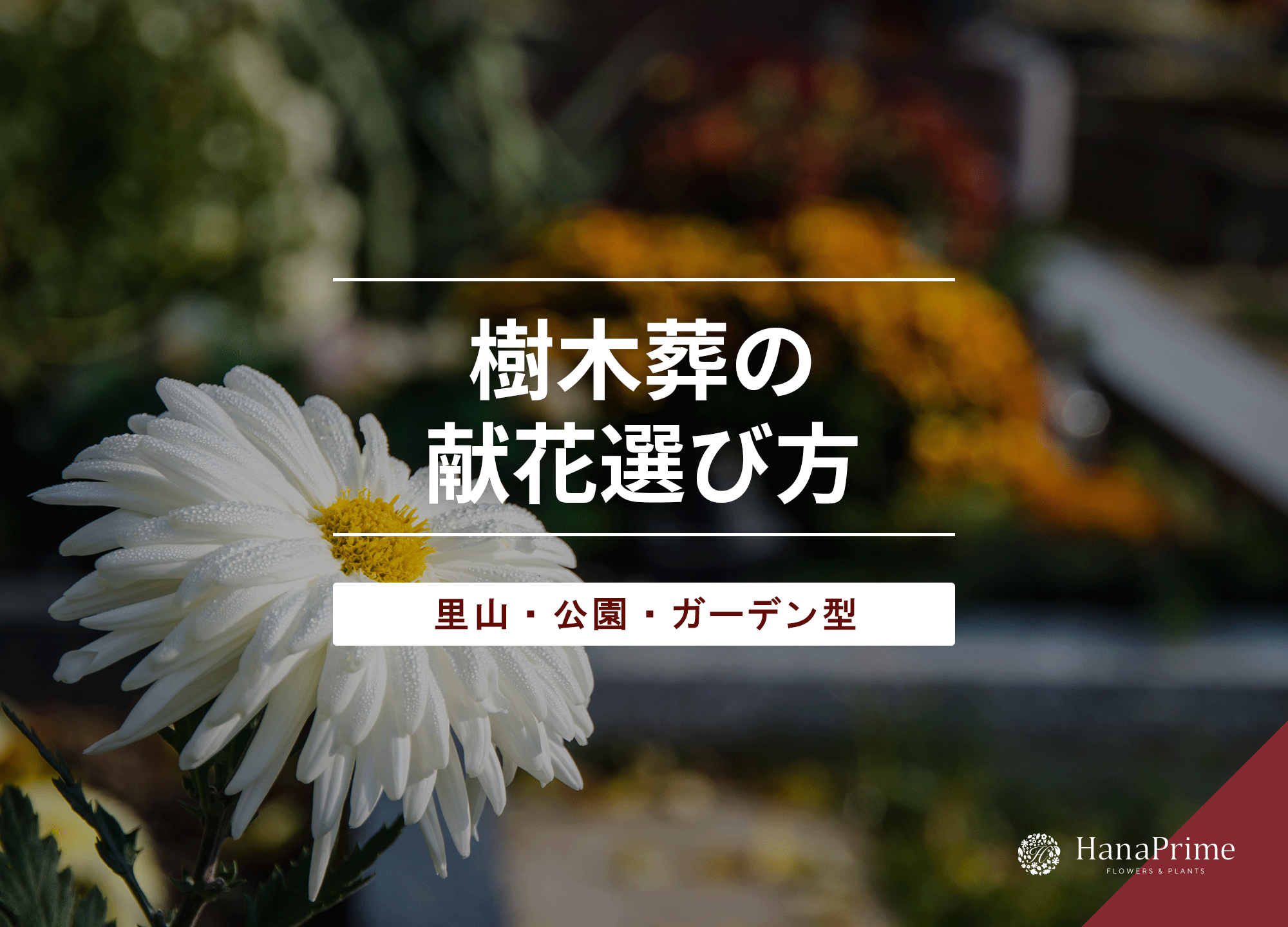 樹木葬の献花の選び方は？里山・公園・ガーデン型の献花を解説