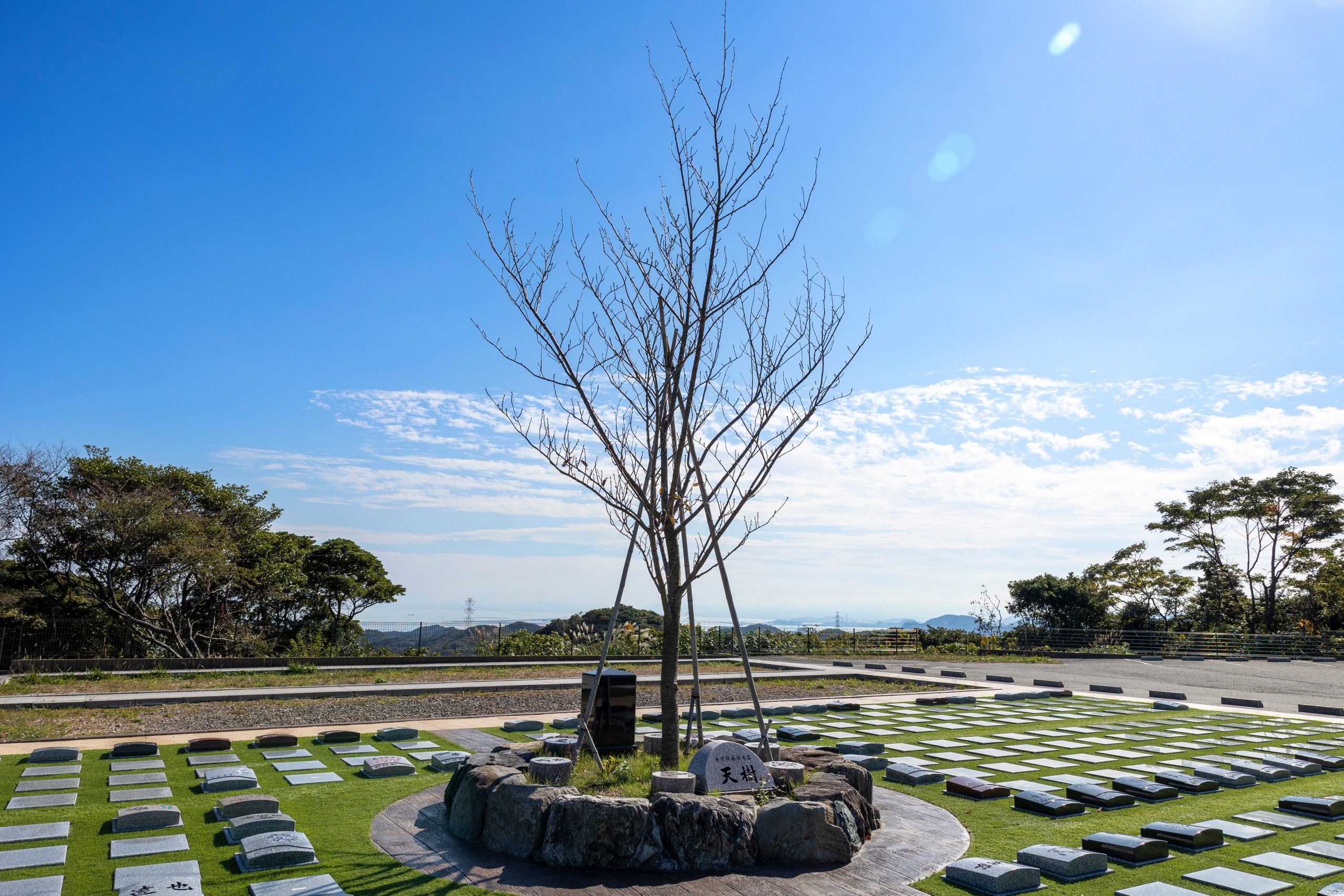 公園型樹木葬｜公園内に整備された墓地