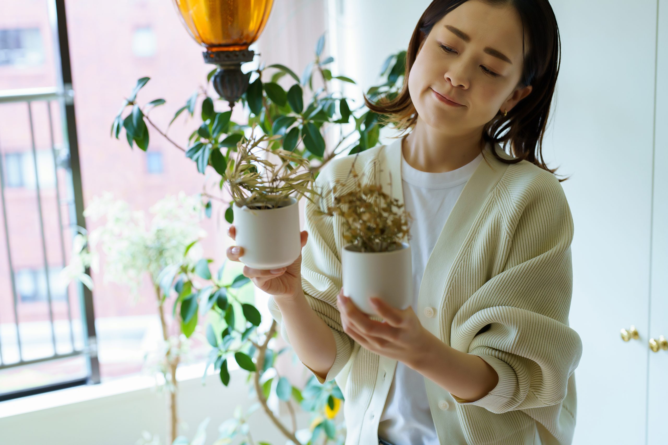 修繕費｜枯れた植物の交換や補修時