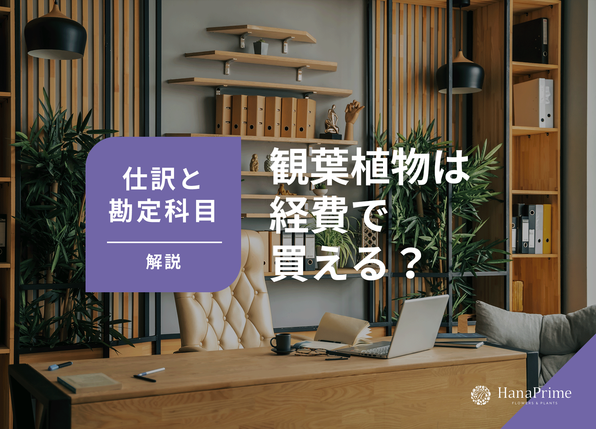 観葉植物は経費で買える？仕訳と勘定科目を解説