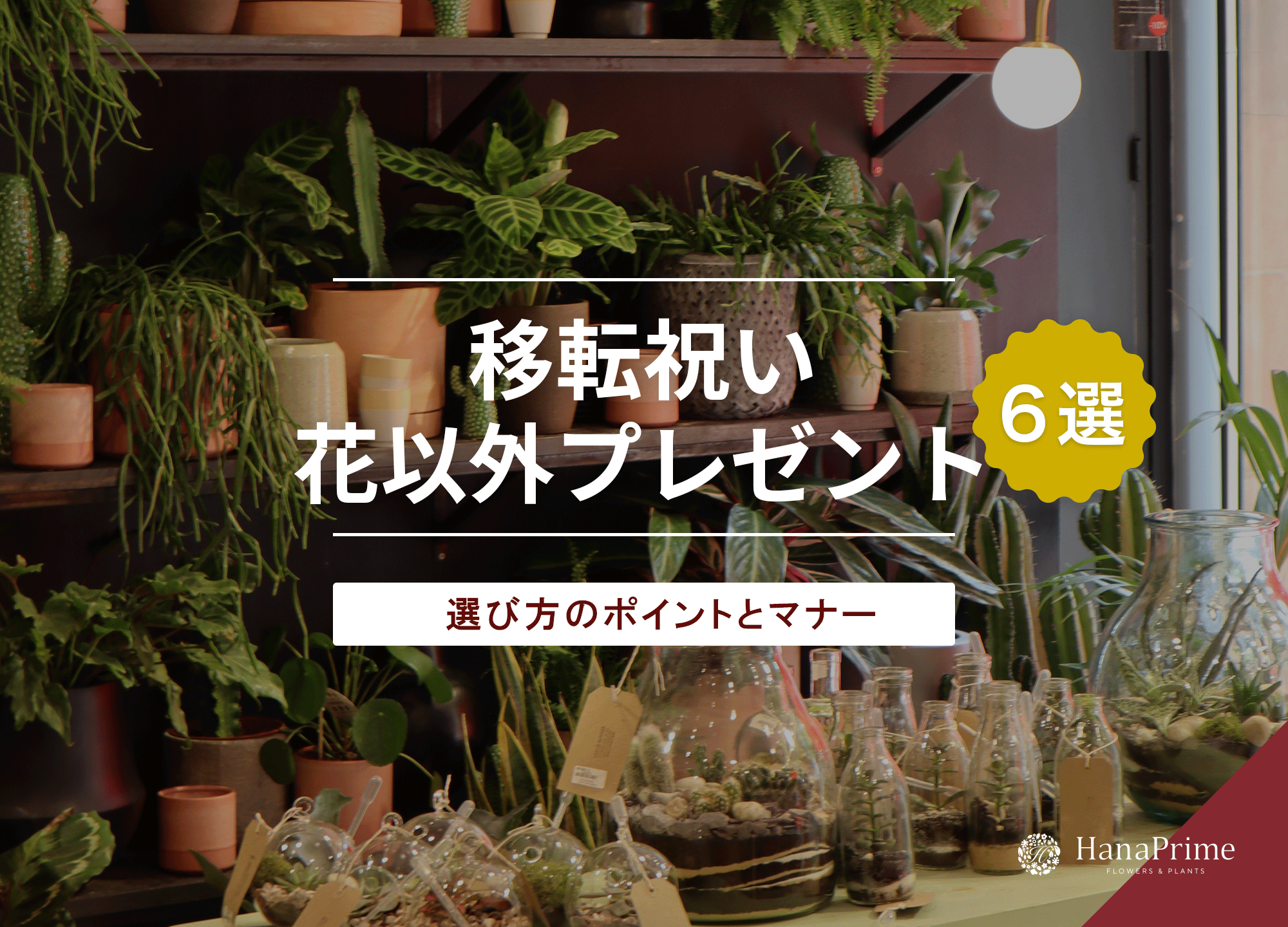 移転祝いで喜ばれる花以外のプレゼント6選