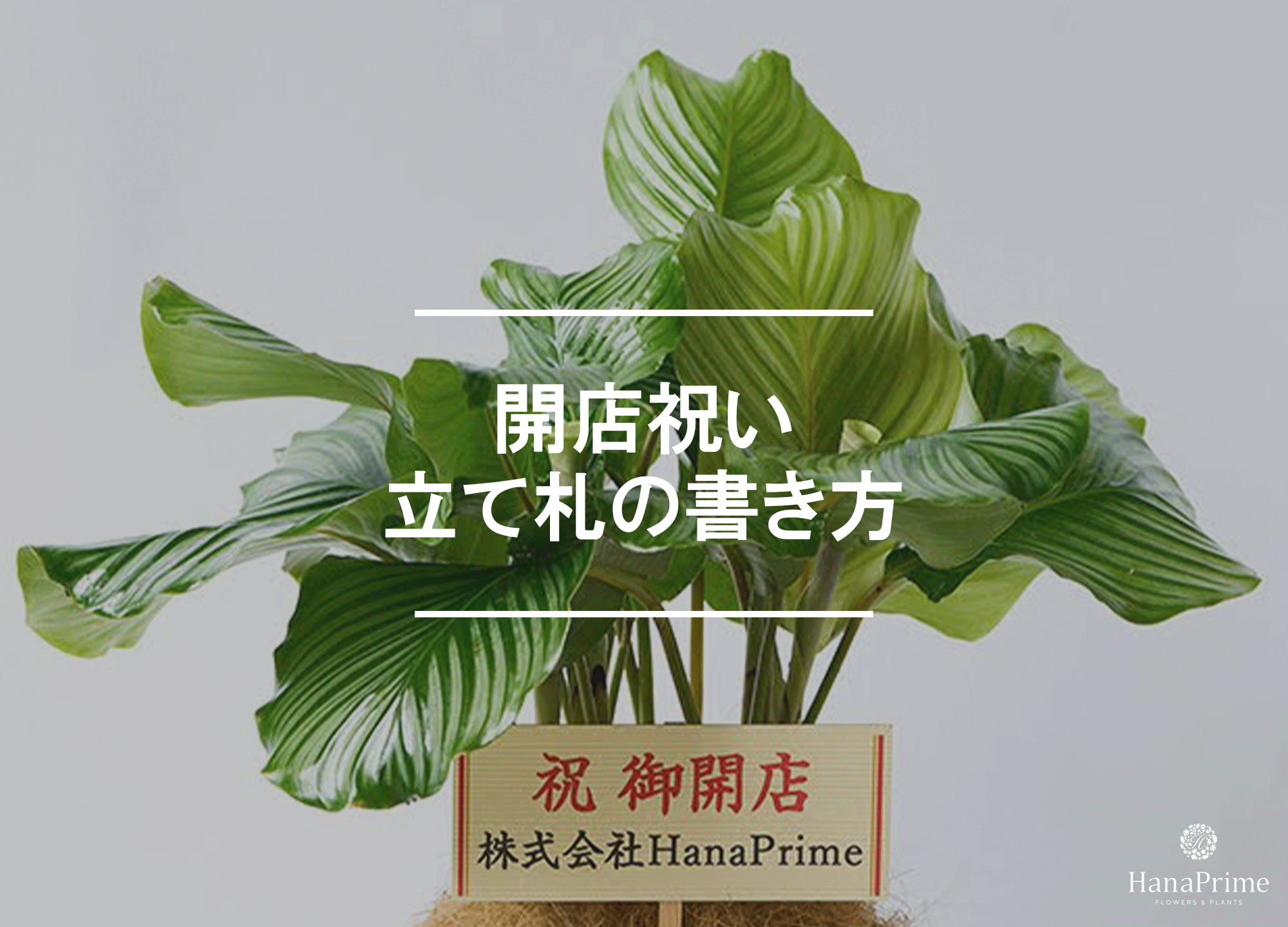 開店祝いの立て札の書き方
