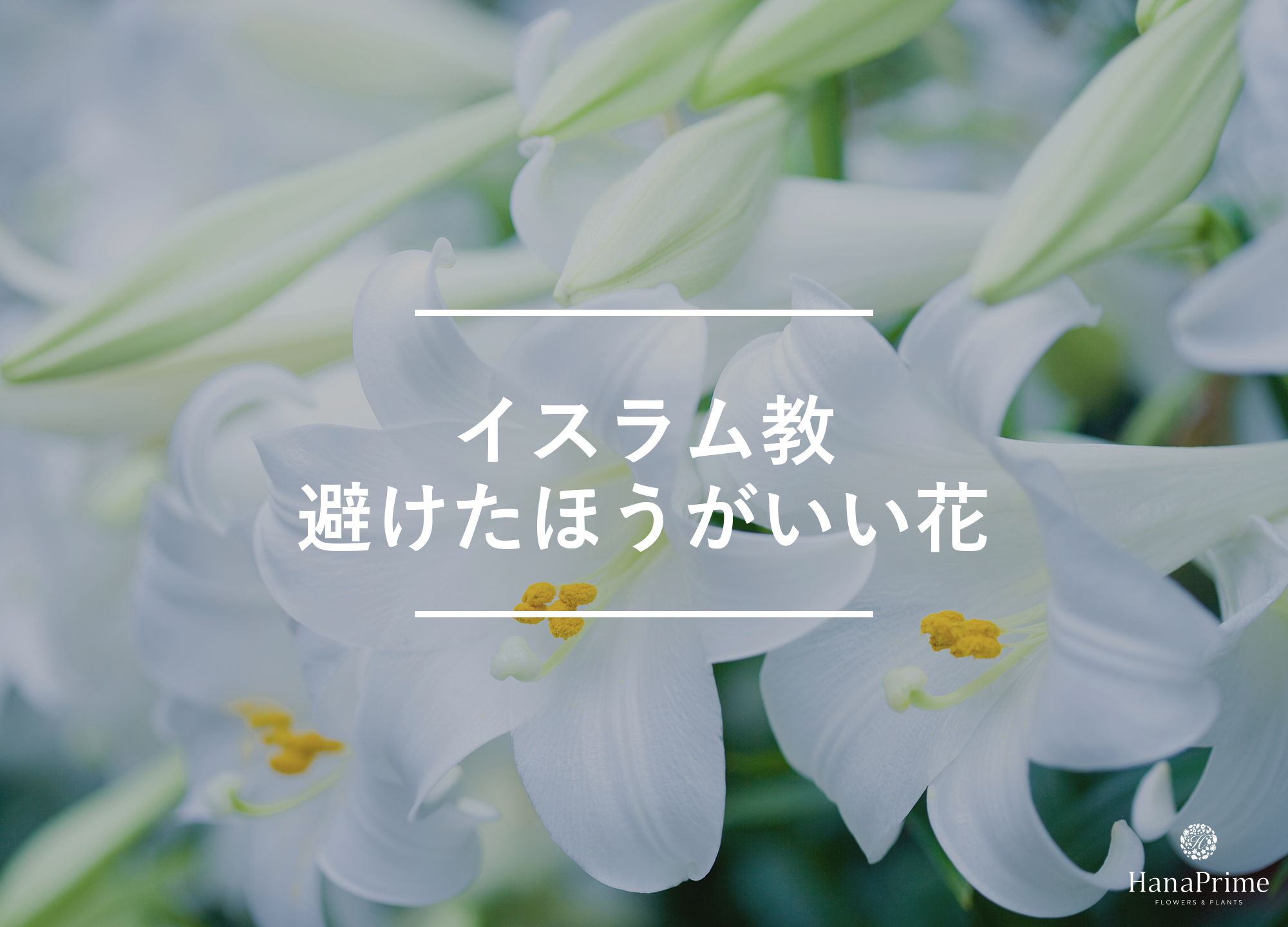 タブーではないが避けたほうがいい花