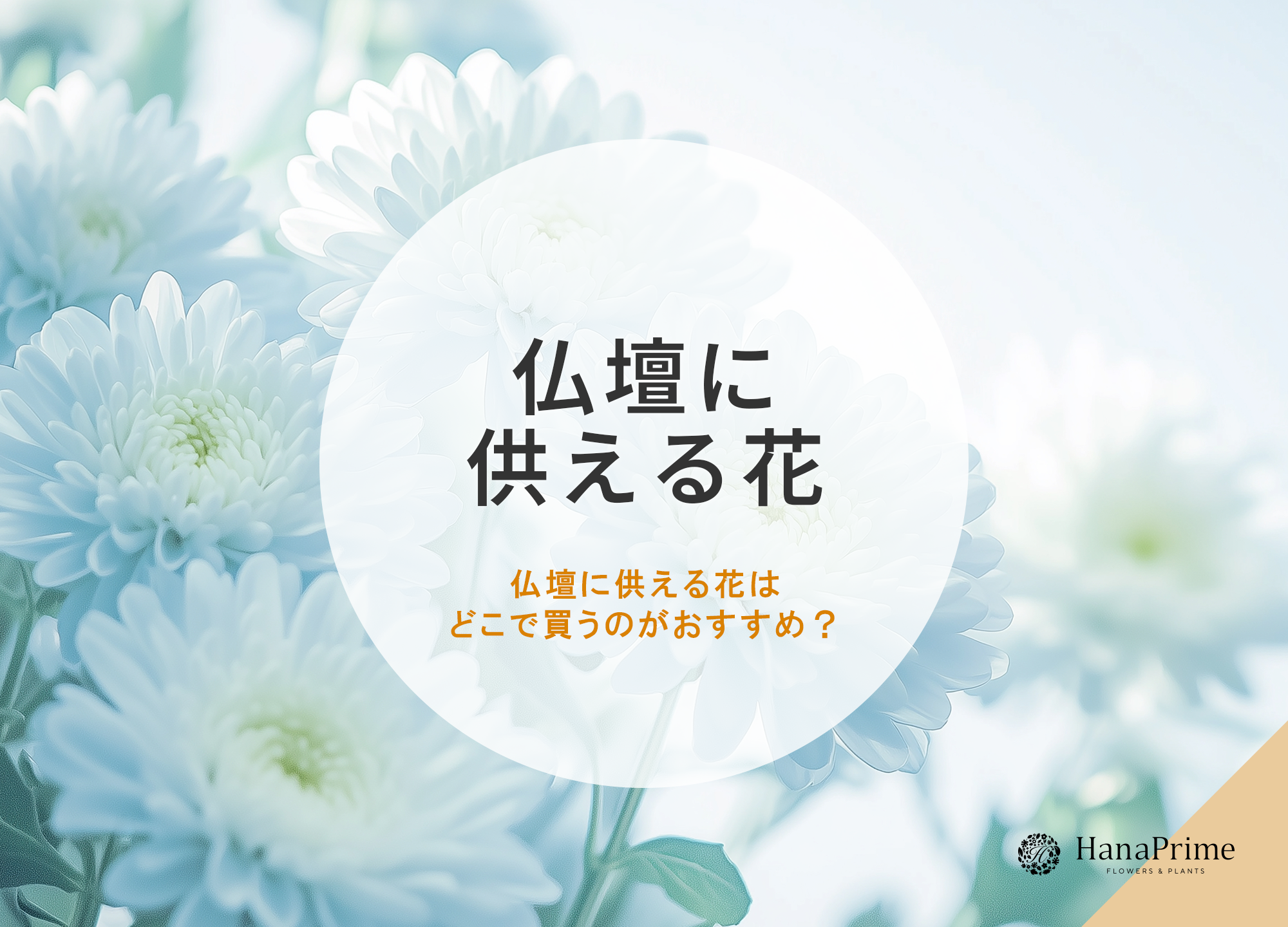 仏壇に供える花はどこで買うのがおすすめ？お花の選び方と注意点も解説