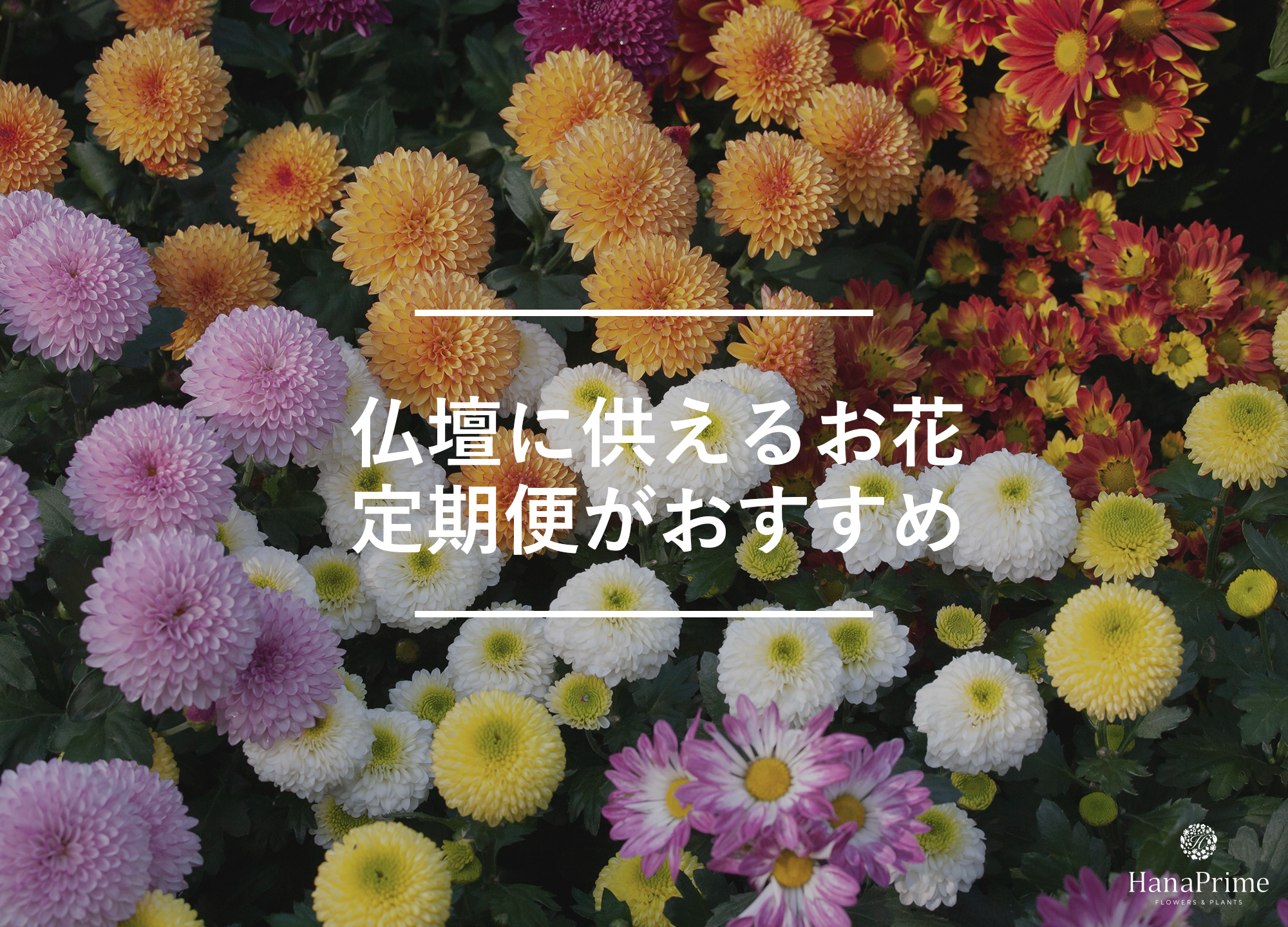 仏壇に供えるお花を購入するなら定期便がおすすめ
