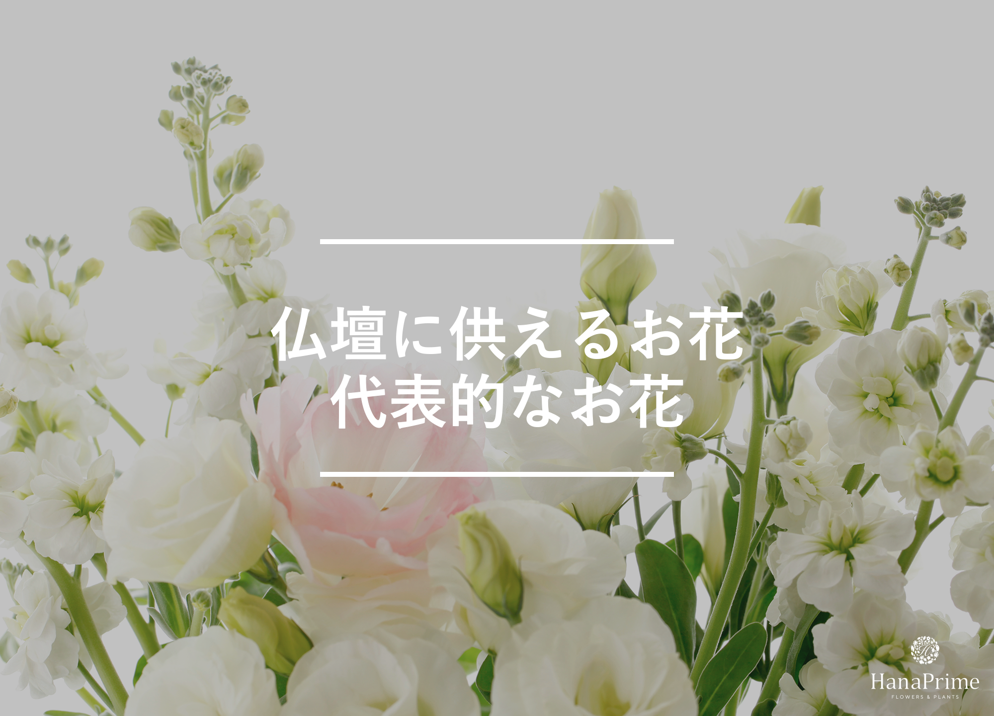 仏壇に供える代表的なお花4選