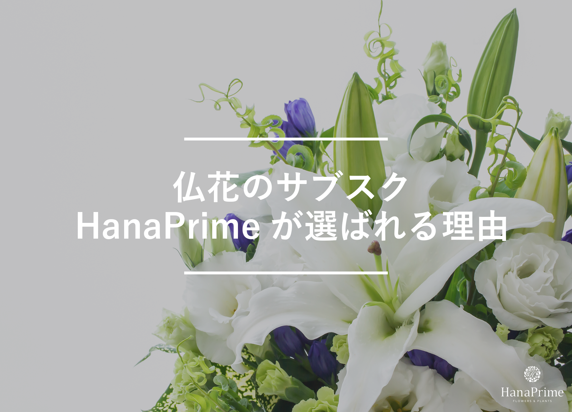 仏花のサブスク（定期配送）でHanaPrimeが選ばれる4つの理由