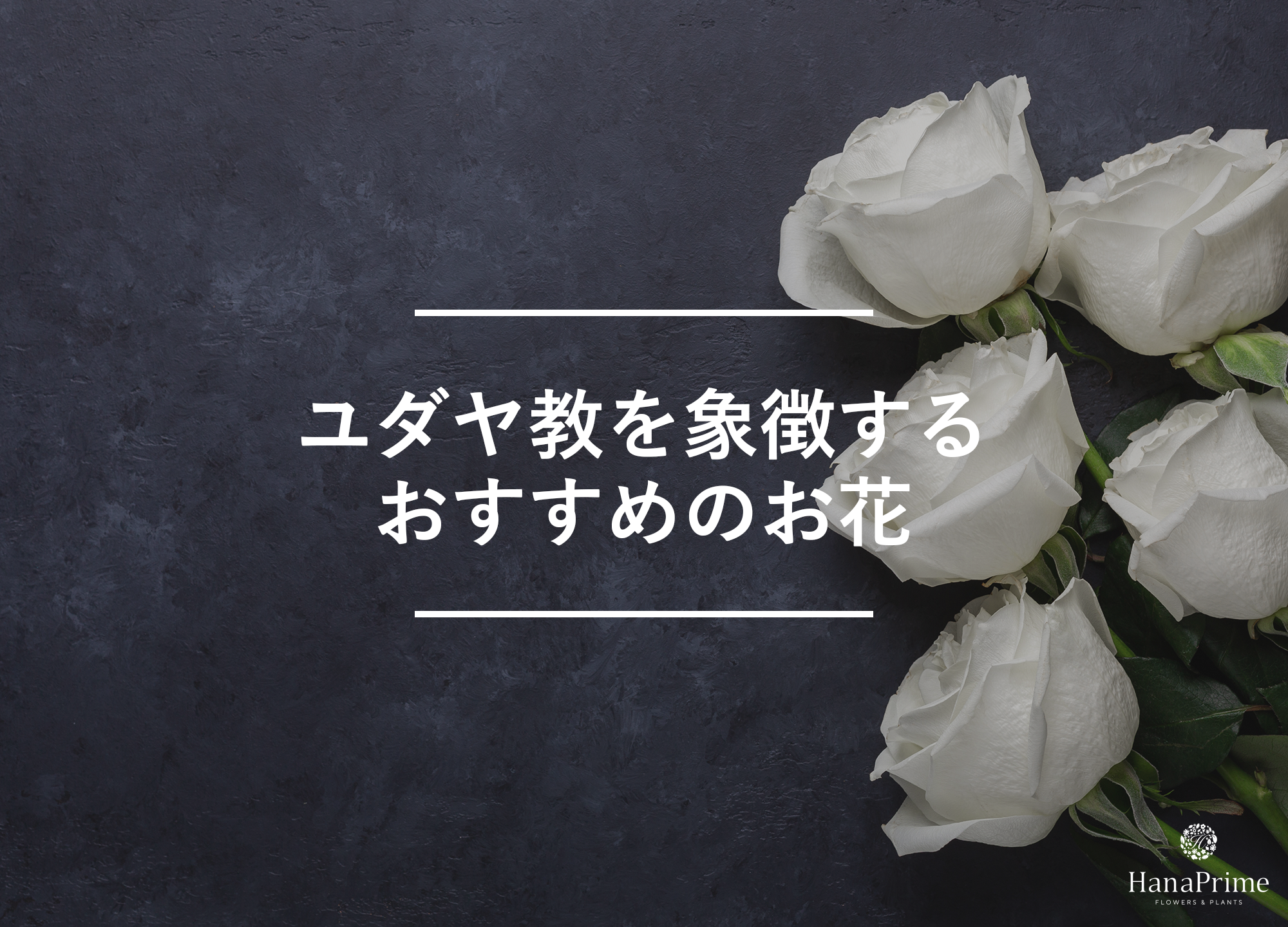 ユダヤ教の文化を象徴するおすすめのお花