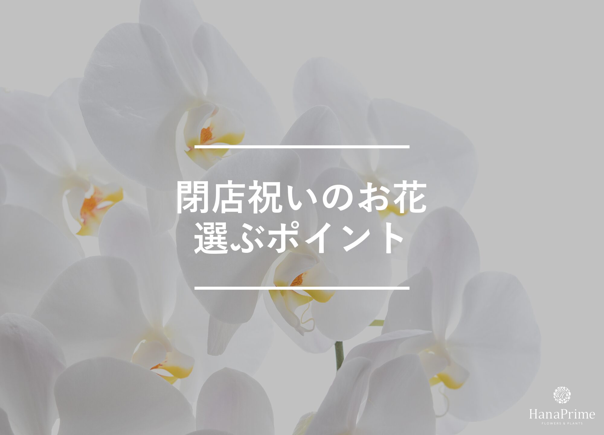 閉店祝いの花を選ぶ3つのポイント