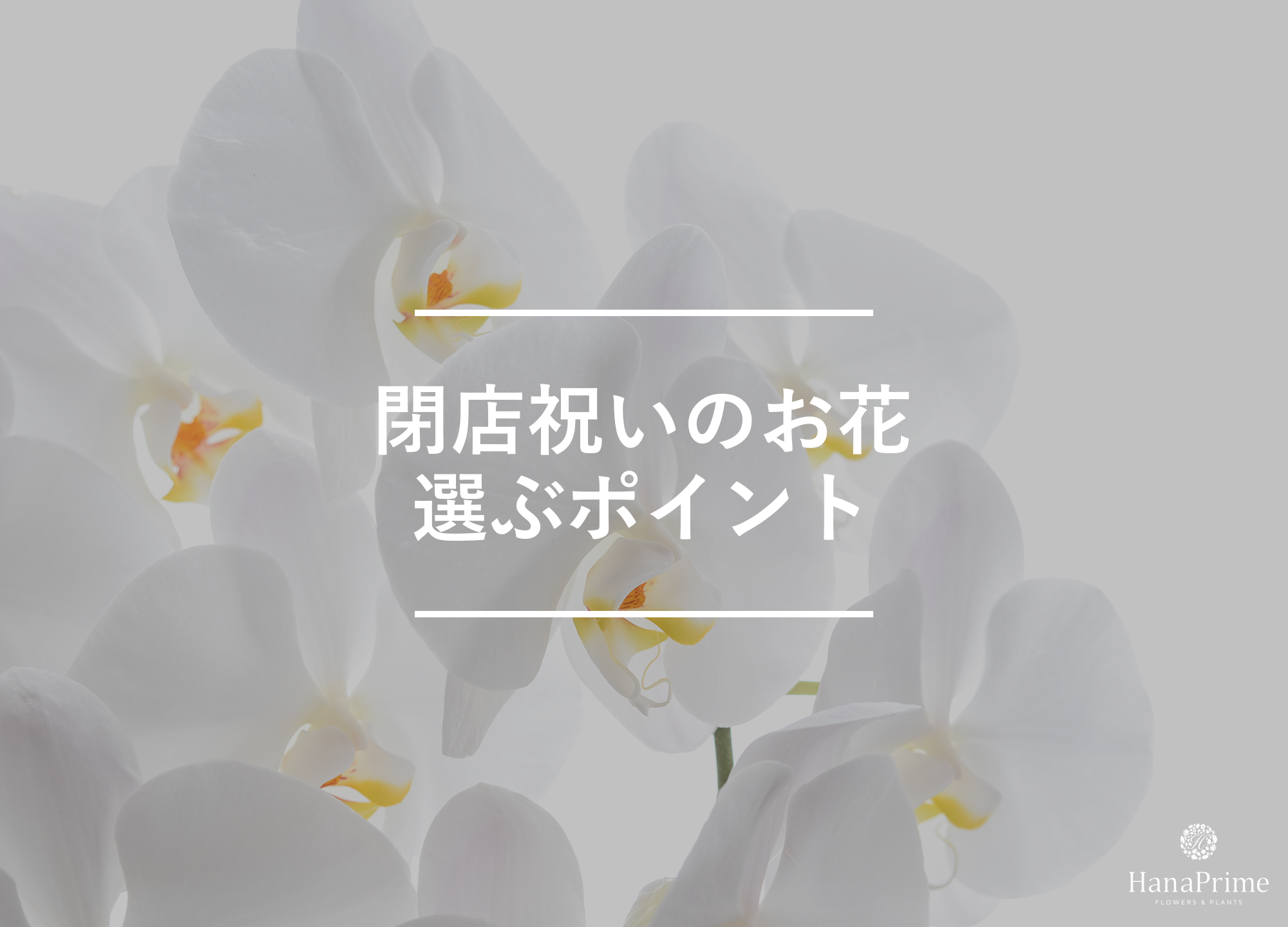 閉店祝いの花を選ぶ3つのポイント