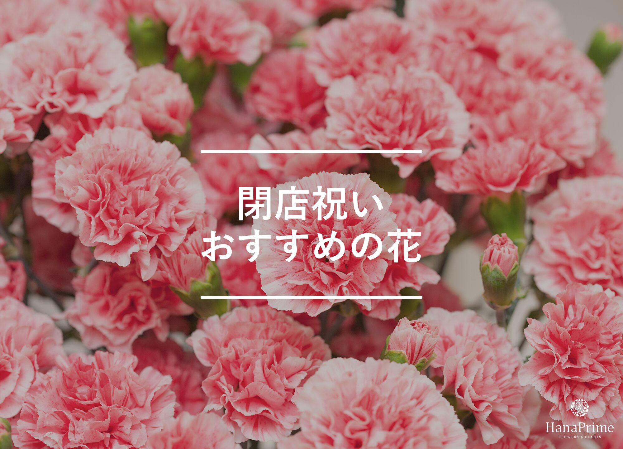 閉店祝いにおすすめのお花